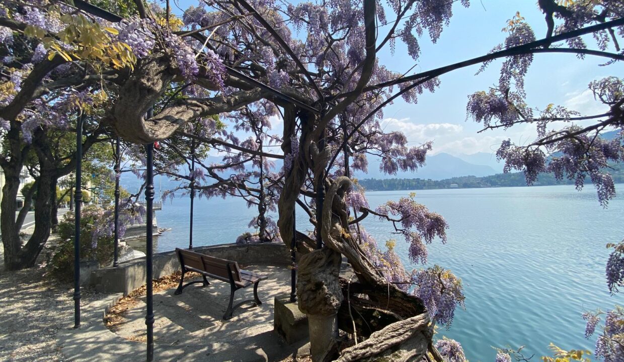 Comer See Immobilienmarkt 2025