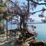 Comer See Immobilienmarkt 2025