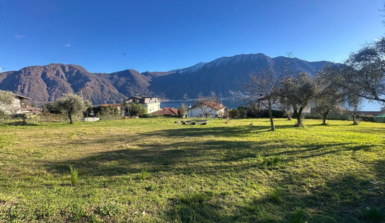 Tremezzina Comer See Baugrundstück mit Seeblick