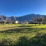 Tremezzina Comer See Baugrundstück mit Seeblick