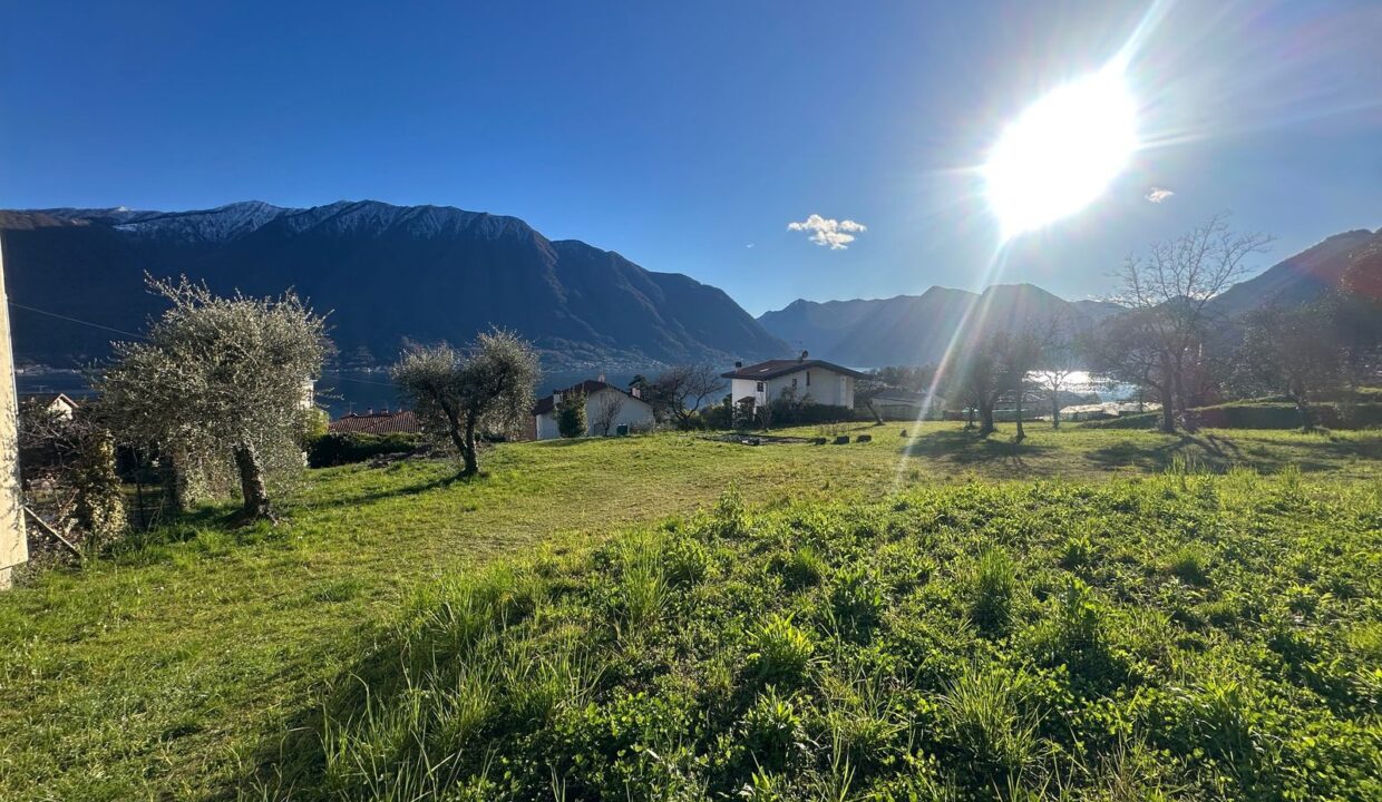 Tremezzina Comer See Baugrundstück mit Seeblick