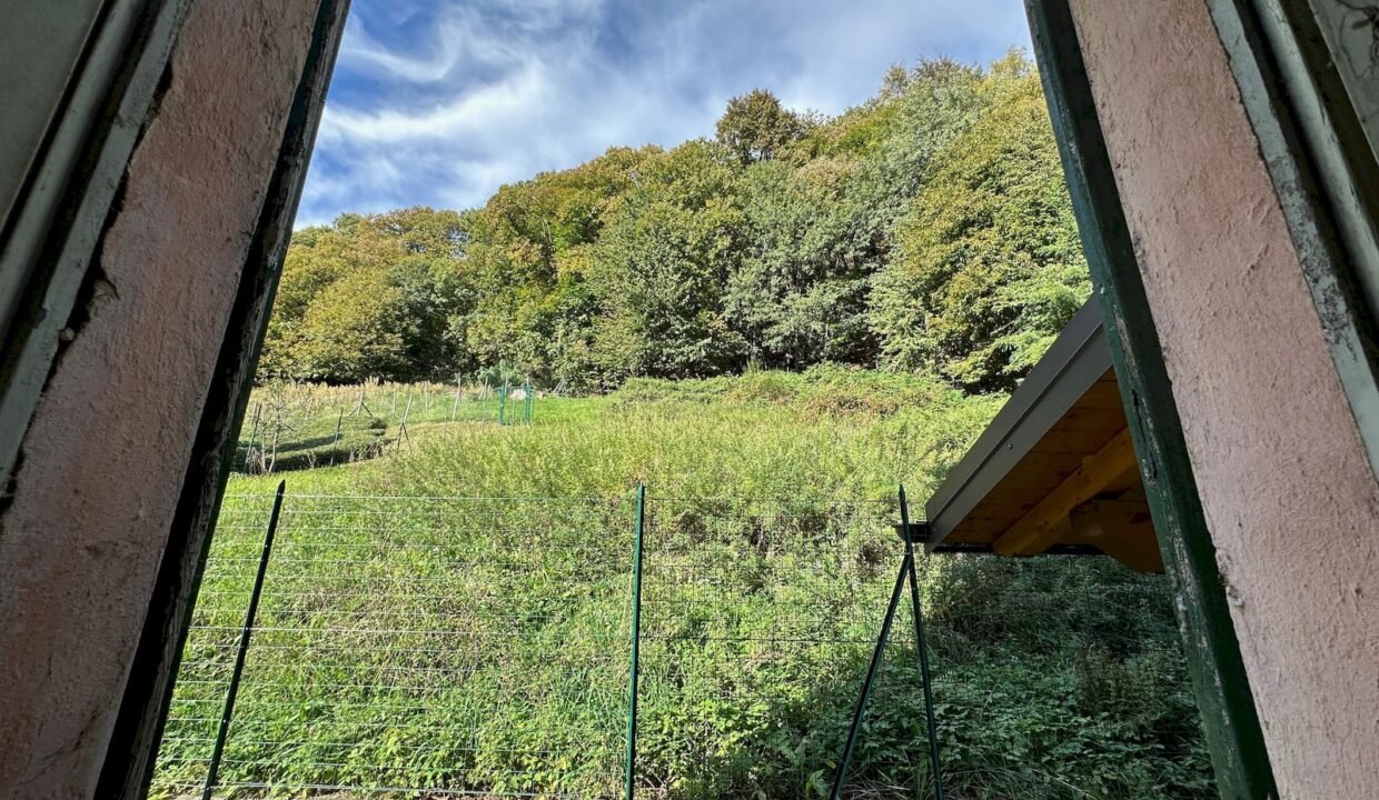 Comer See Dongo Haus in Hügellage mit Grundstück